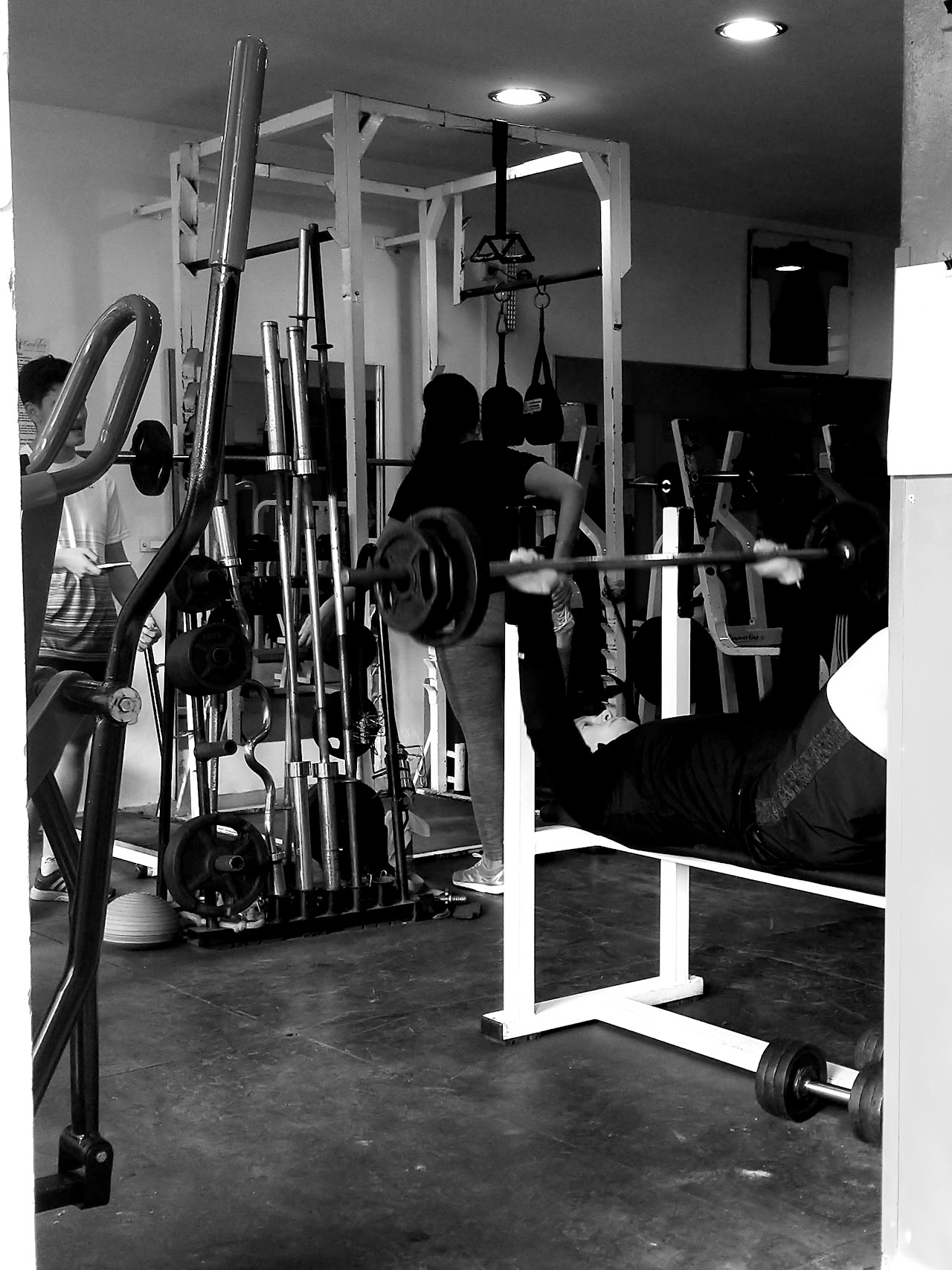 Sector de entrenamiento con pesas